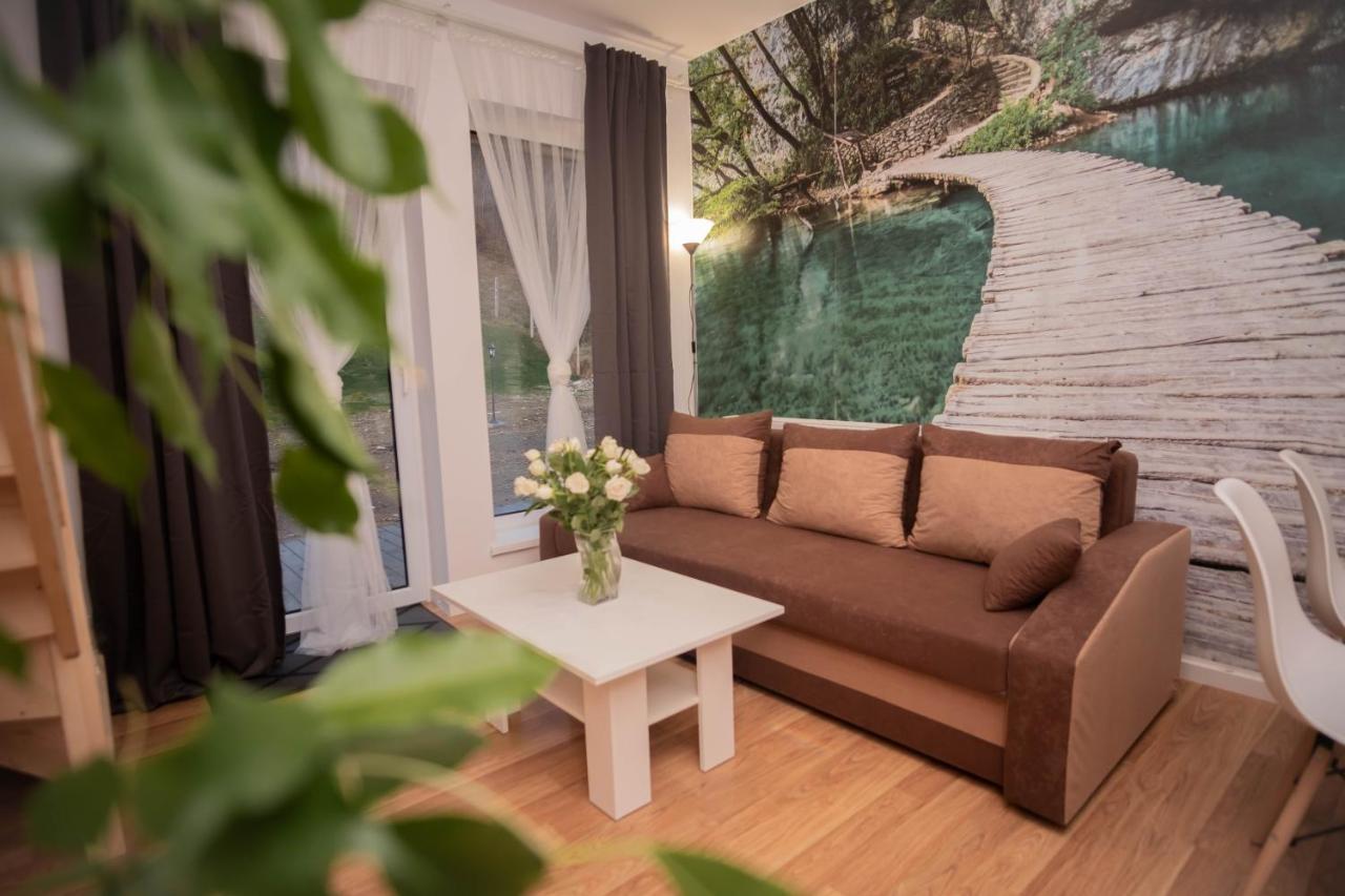 Apartamenty Goszowita Stronie Śląskie 외부 사진
